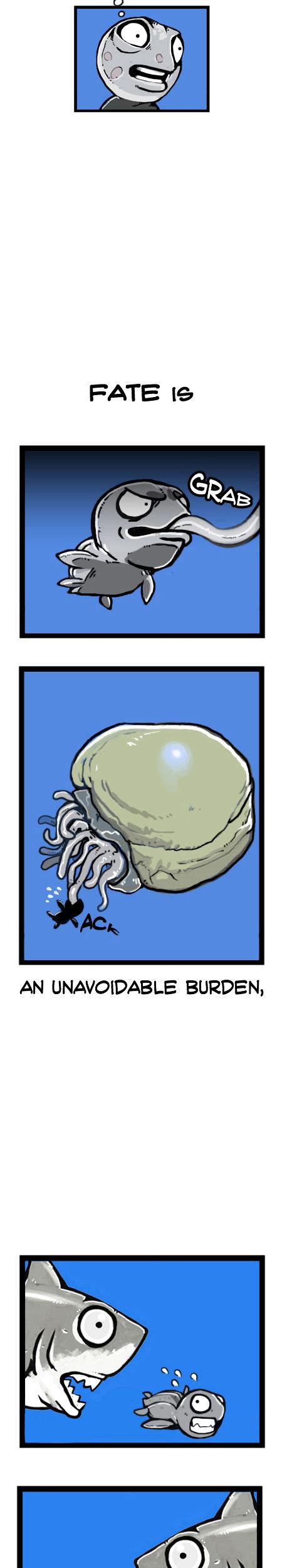 Earth, Human, and Animal Chapter 17 page 12 - Chapter 17 : the Fate of the Leatherback Sea Turtle #2