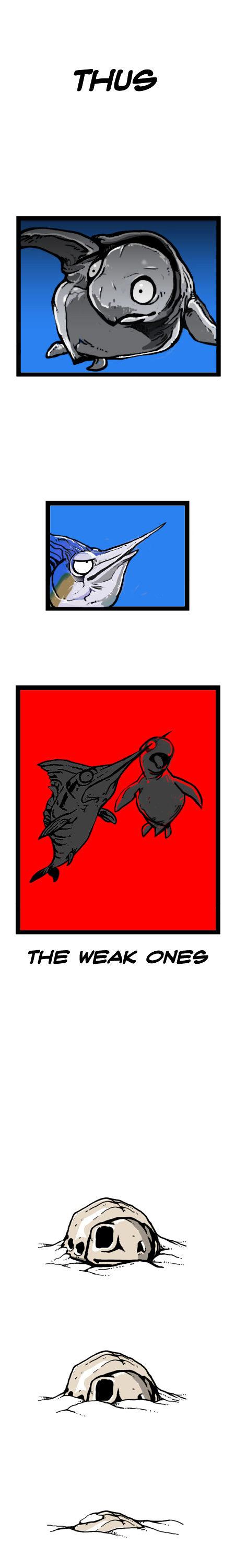Earth, Human, and Animal Chapter 17 page 14 - Chapter 17 : the Fate of the Leatherback Sea Turtle #2