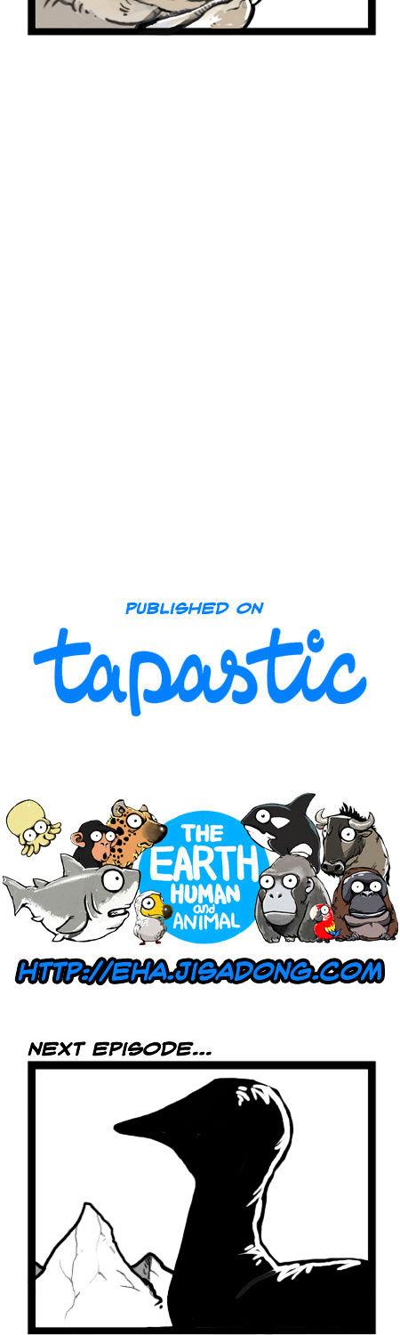 Earth, Human, and Animal Chapter 17 page 16 - Chapter 17 : the Fate of the Leatherback Sea Turtle #2
