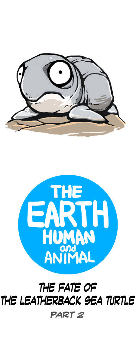 Earth, Human, and Animal Chapter 17 page 4 - Chapter 17 : the Fate of the Leatherback Sea Turtle #2