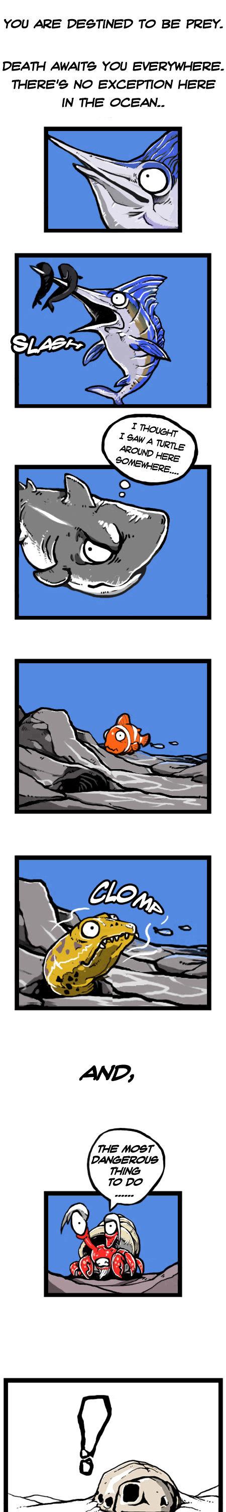 Earth, Human, and Animal Chapter 17 page 8 - Chapter 17 : the Fate of the Leatherback Sea Turtle #2