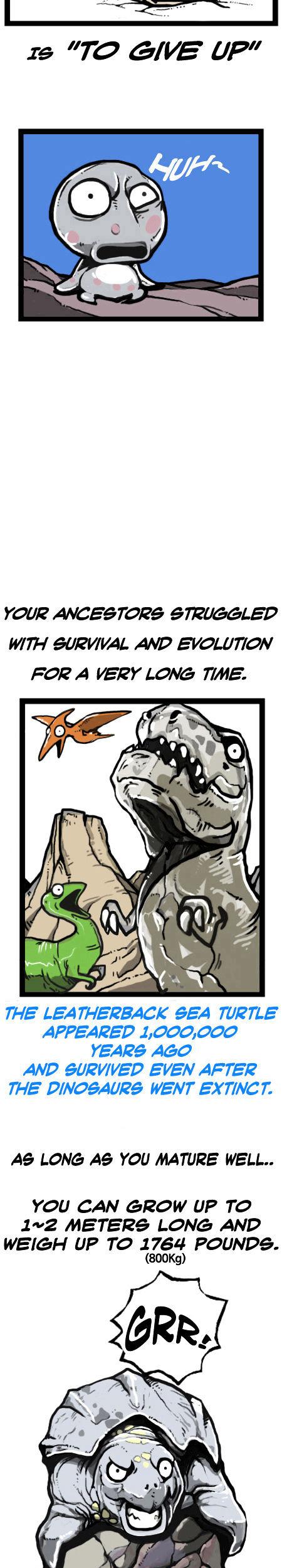 Earth, Human, and Animal Chapter 17 page 9 - Chapter 17 : the Fate of the Leatherback Sea Turtle #2
