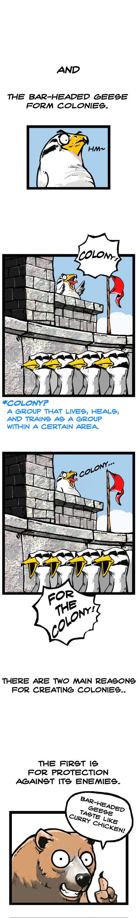 Earth, Human, and Animal Chapter 18 page 11 - Chapter 18 : the Bar-Headed Goose's Leadership