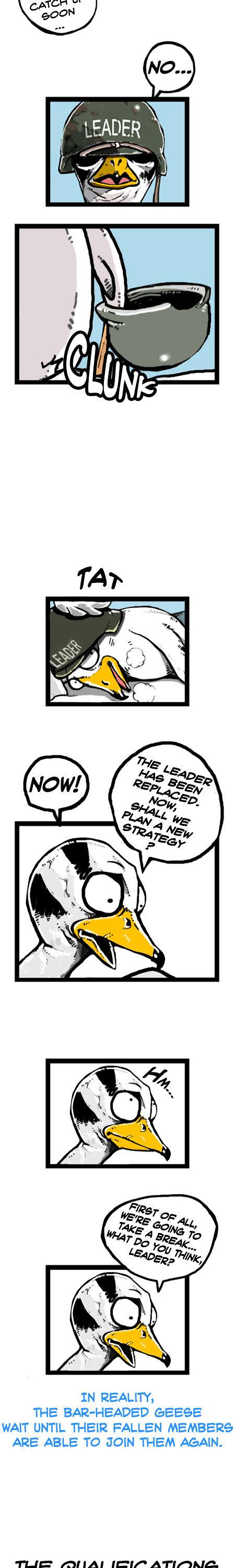 Earth, Human, and Animal Chapter 18 page 15 - Chapter 18 : the Bar-Headed Goose's Leadership