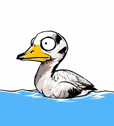 Earth, Human, and Animal Chapter 18 page 4 - Chapter 18 : the Bar-Headed Goose's Leadership