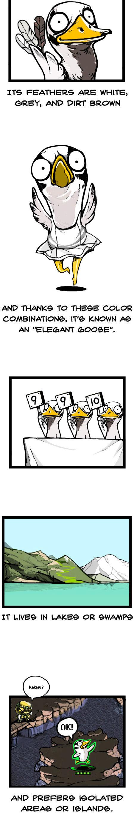 Earth, Human, and Animal Chapter 18 page 6 - Chapter 18 : the Bar-Headed Goose's Leadership