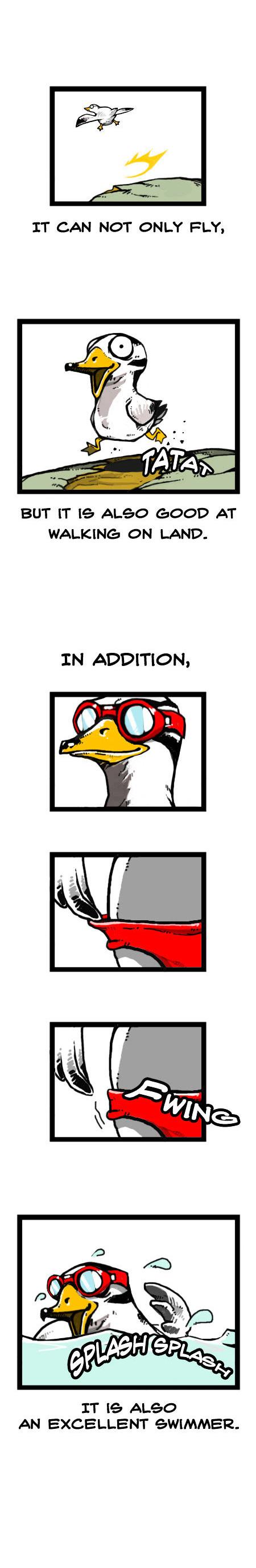 Earth, Human, and Animal Chapter 18 page 7 - Chapter 18 : the Bar-Headed Goose's Leadership