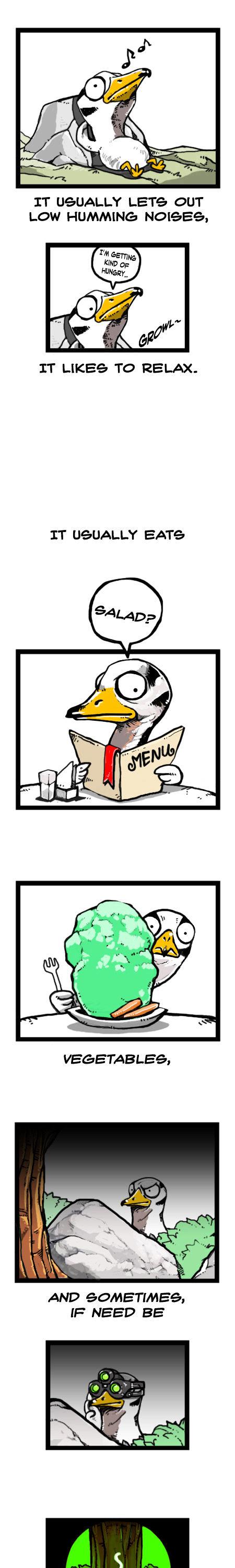 Earth, Human, and Animal Chapter 18 page 8 - Chapter 18 : the Bar-Headed Goose's Leadership