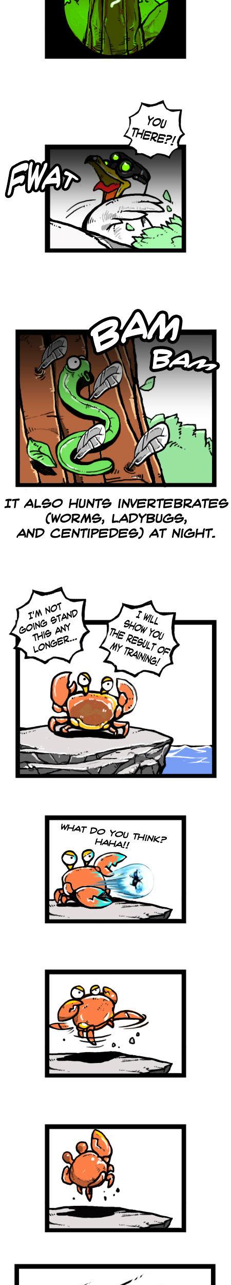Earth, Human, and Animal Chapter 18 page 9 - Chapter 18 : the Bar-Headed Goose's Leadership