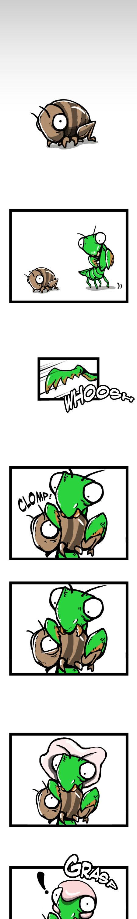 Earth, Human, and Animal Chapter 19 page 1 - Chapter 19 : the Jackson's Three-horned Chameleon's Habits