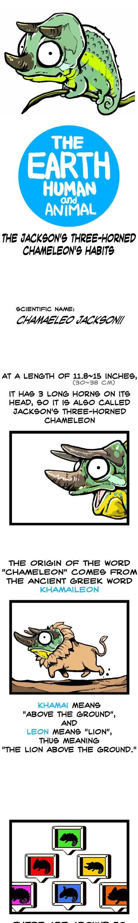 Earth, Human, and Animal Chapter 19 page 4 - Chapter 19 : the Jackson's Three-horned Chameleon's Habits