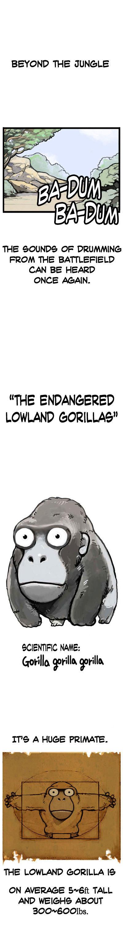 Earth, Human, and Animal Chapter 2 page 1 - Chapter 2 : the Endangered Lowland Gorillas