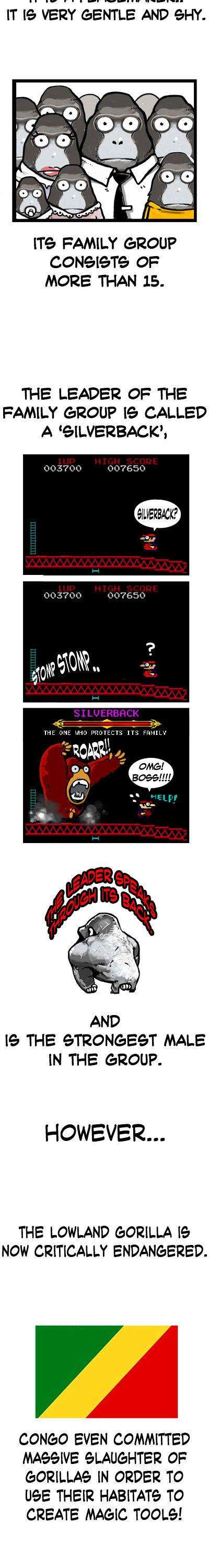 Earth, Human, and Animal Chapter 2 page 4 - Chapter 2 : the Endangered Lowland Gorillas