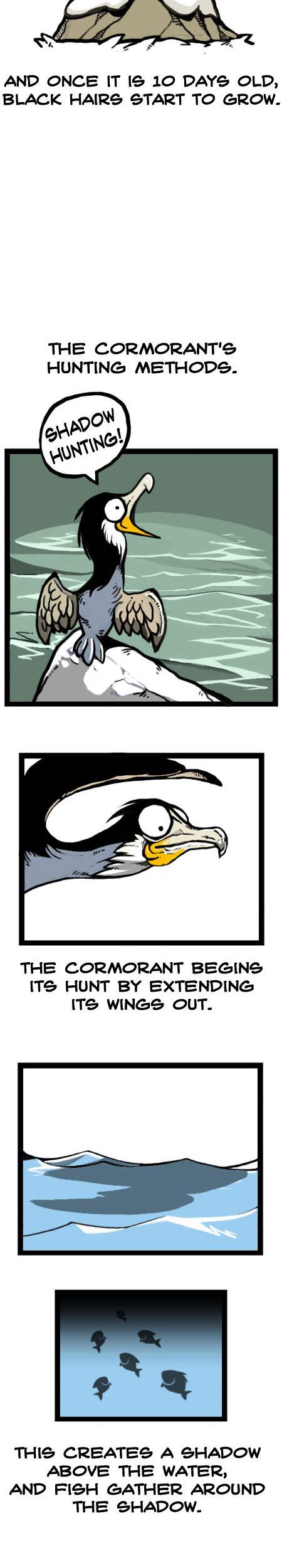 Earth, Human, and Animal Chapter 20 page 13 - Chapter 20 : the Cormorant's Thin Neck