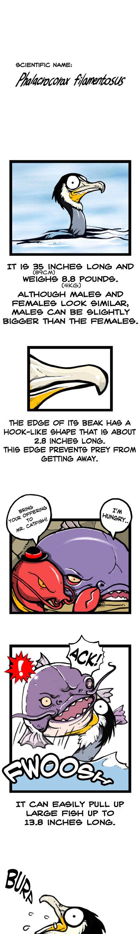 Earth, Human, and Animal Chapter 20 page 8 - Chapter 20 : the Cormorant's Thin Neck
