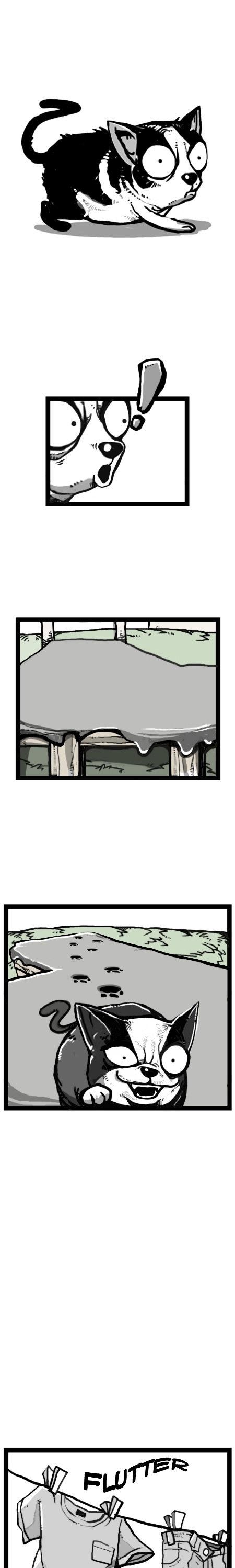 Earth, Human, and Animal Chapter 21 page 8 - Chapter 21 : the Trial of a Stray Cat #1