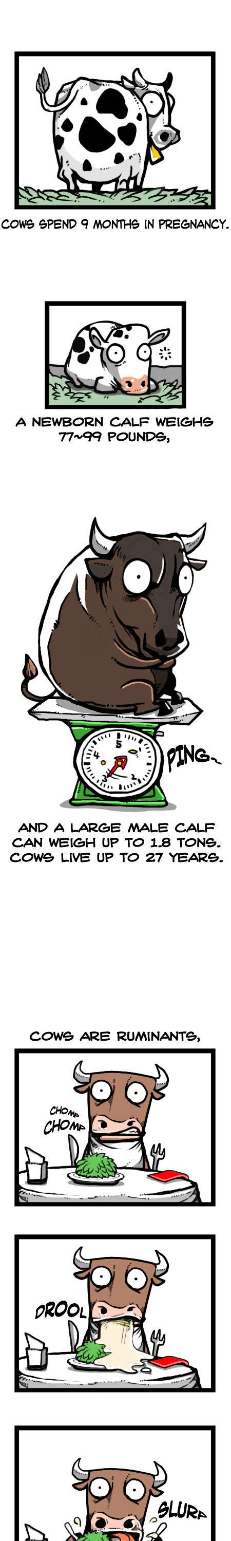 Earth, Human, and Animal Chapter 24 page 10 - Chapter 24 : a Bull's Glory