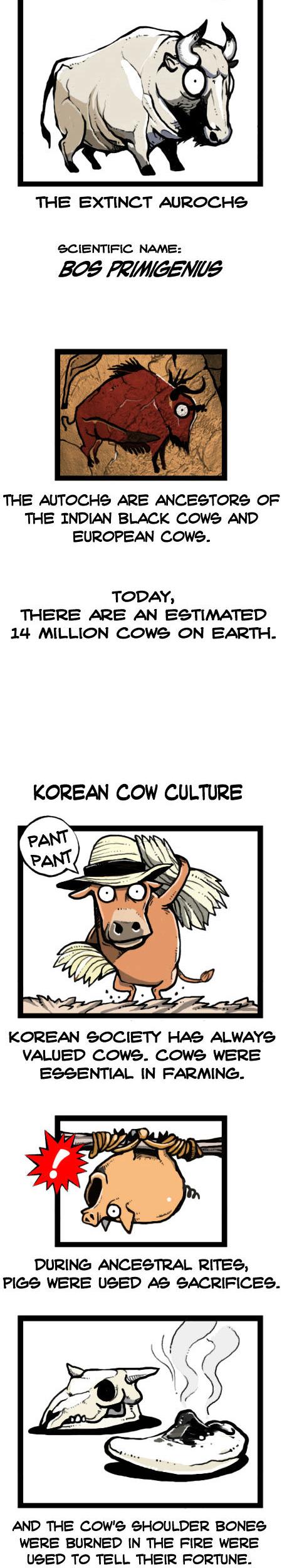 Earth, Human, and Animal Chapter 24 page 12 - Chapter 24 : a Bull's Glory