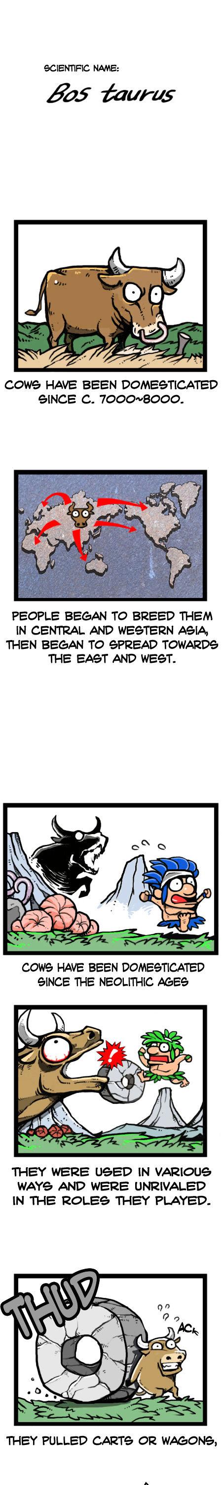 Earth, Human, and Animal Chapter 24 page 7 - Chapter 24 : a Bull's Glory