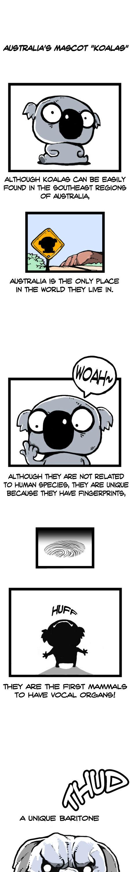 Earth, Human, and Animal Chapter 25 page 11 - Chapter 25 : a Dreaming Koala