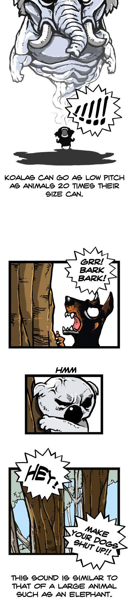 Earth, Human, and Animal Chapter 25 page 12 - Chapter 25 : a Dreaming Koala