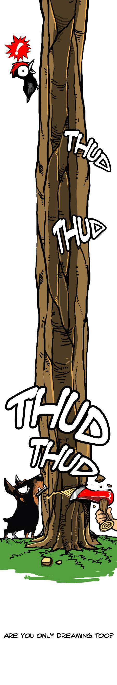 Earth, Human, and Animal Chapter 25 page 15 - Chapter 25 : a Dreaming Koala