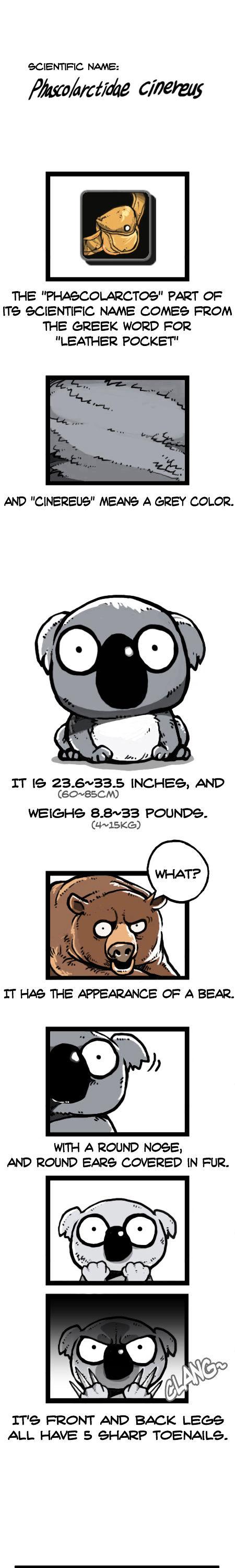 Earth, Human, and Animal Chapter 25 page 5 - Chapter 25 : a Dreaming Koala