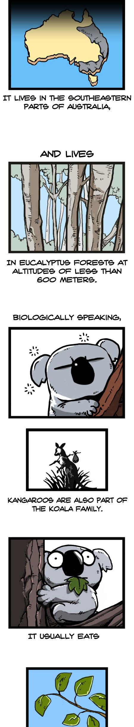 Earth, Human, and Animal Chapter 25 page 6 - Chapter 25 : a Dreaming Koala
