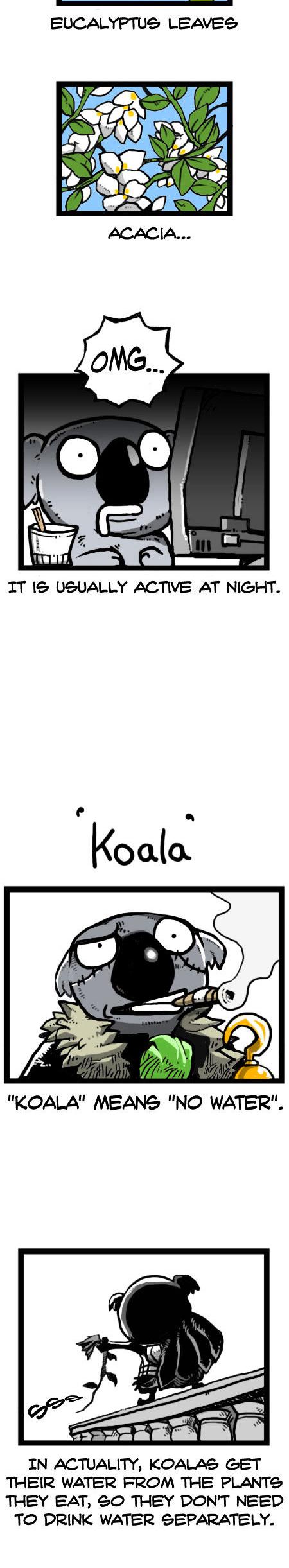 Earth, Human, and Animal Chapter 25 page 7 - Chapter 25 : a Dreaming Koala
