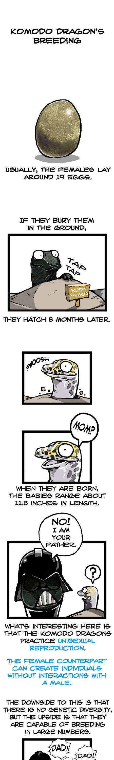 Earth, Human, and Animal Chapter 26 page 11 - Chapter 26 : the Patience of a Komodo Dragon