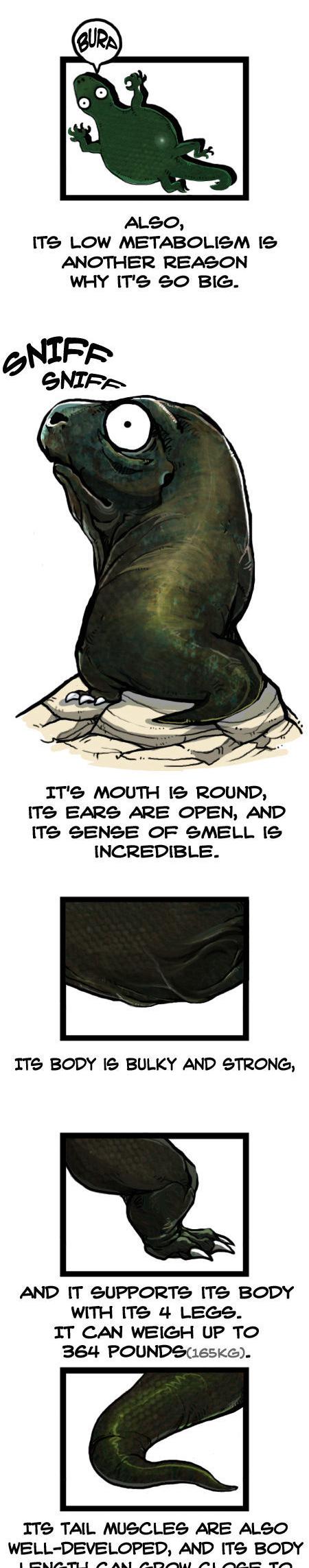 Earth, Human, and Animal Chapter 26 page 7 - Chapter 26 : the Patience of a Komodo Dragon