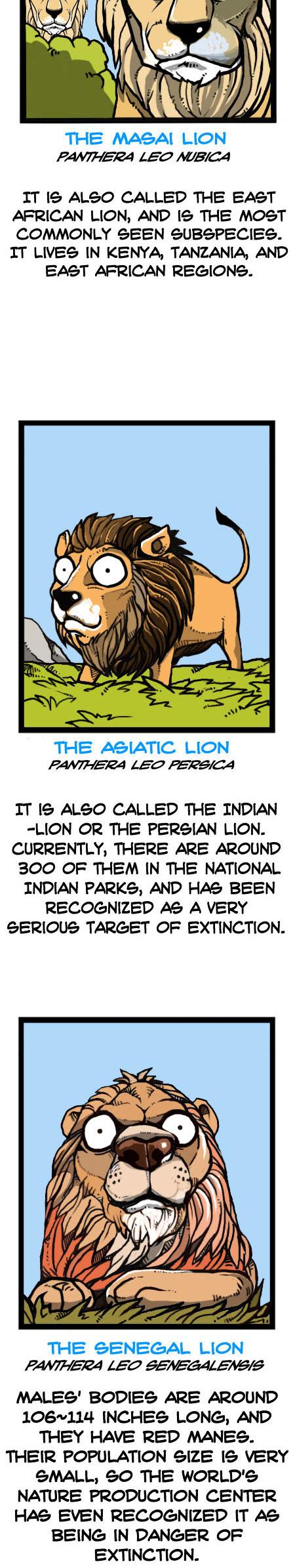 Earth, Human, and Animal Chapter 27 page 10 - Chapter 27 : a Lion's Pride