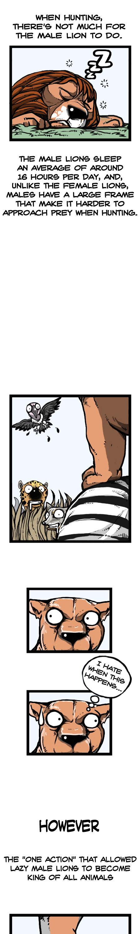 Earth, Human, and Animal Chapter 27 page 14 - Chapter 27 : a Lion's Pride
