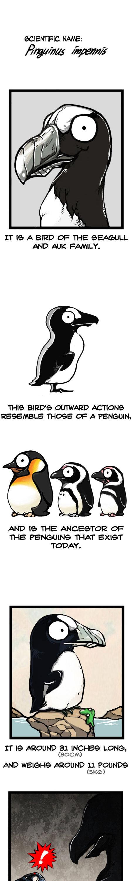 Earth, Human, and Animal Chapter 28 page 5 - Chapter 28 : the Extinct Great Auk