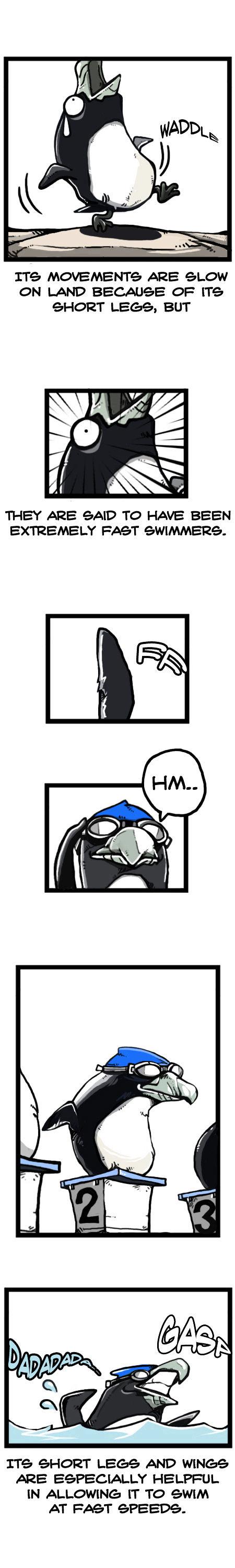 Earth, Human, and Animal Chapter 28 page 8 - Chapter 28 : the Extinct Great Auk
