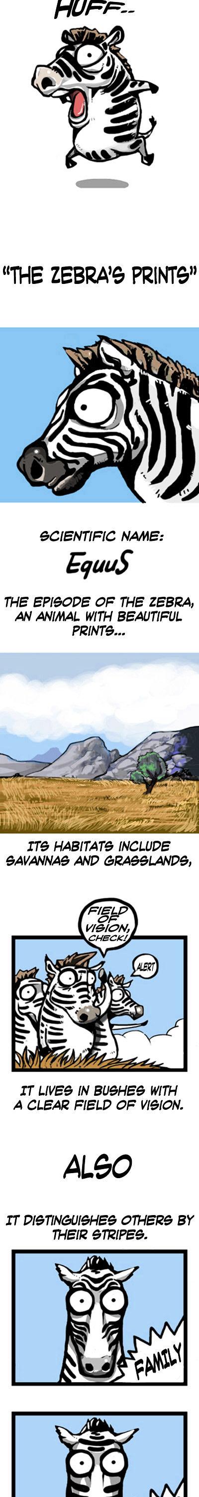 Earth, Human, and Animal Chapter 3 page 2 - Chapter 3 : the Zebra's Prints