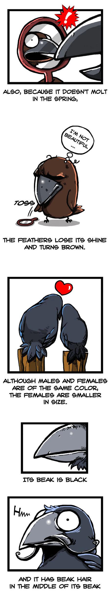 Earth, Human, and Animal Chapter 30 page 7 - Chapter 30 : the Crow's Duty