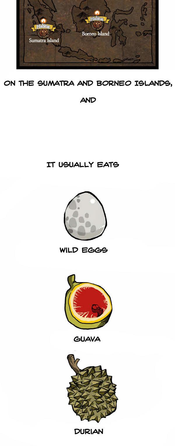 Earth, Human, and Animal Chapter 31 page 11 - Chapter 31 : the Orangutan's Miracle