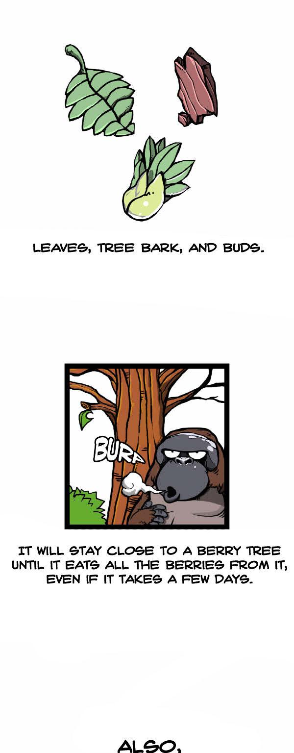 Earth, Human, and Animal Chapter 31 page 12 - Chapter 31 : the Orangutan's Miracle