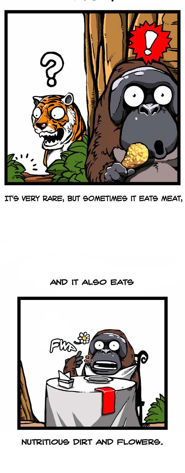 Earth, Human, and Animal Chapter 31 page 13 - Chapter 31 : the Orangutan's Miracle