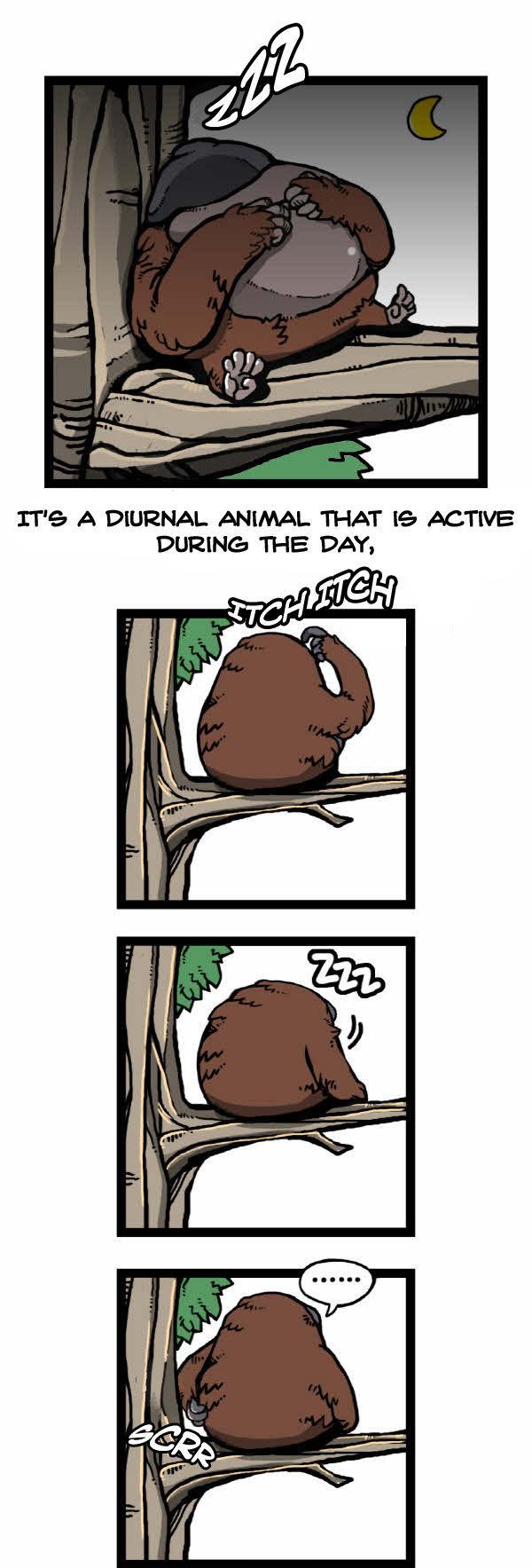 Earth, Human, and Animal Chapter 31 page 14 - Chapter 31 : the Orangutan's Miracle