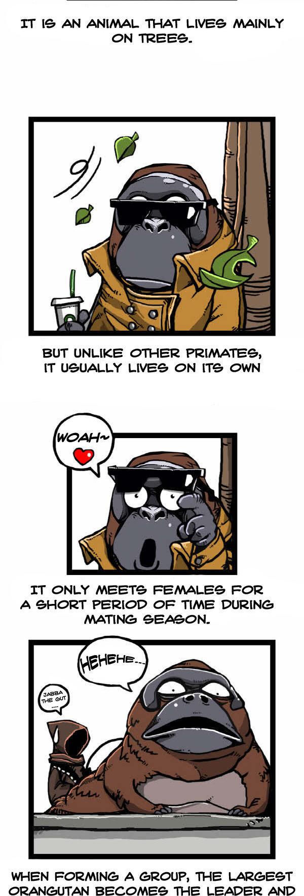 Earth, Human, and Animal Chapter 31 page 15 - Chapter 31 : the Orangutan's Miracle
