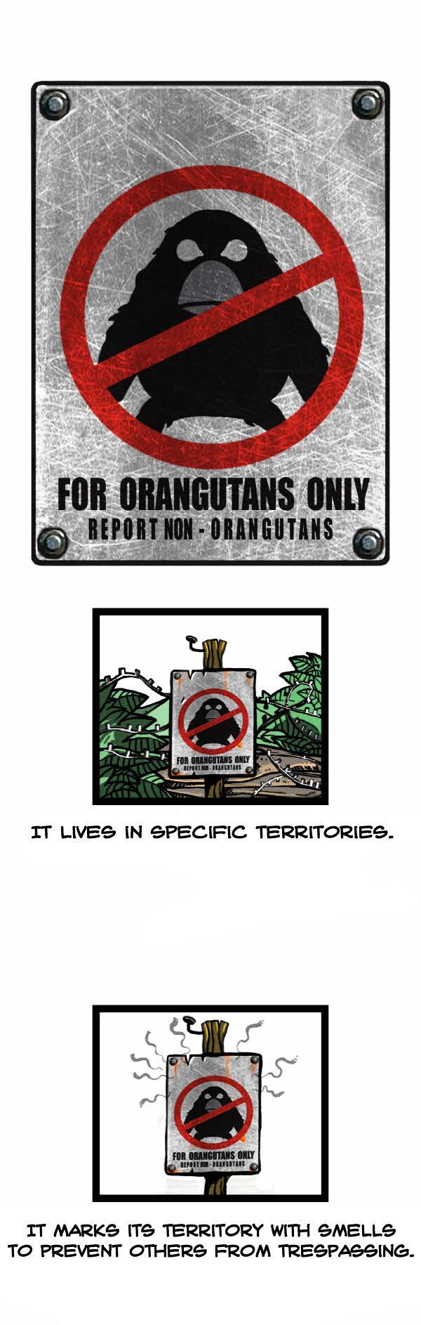 Earth, Human, and Animal Chapter 31 page 16 - Chapter 31 : the Orangutan's Miracle