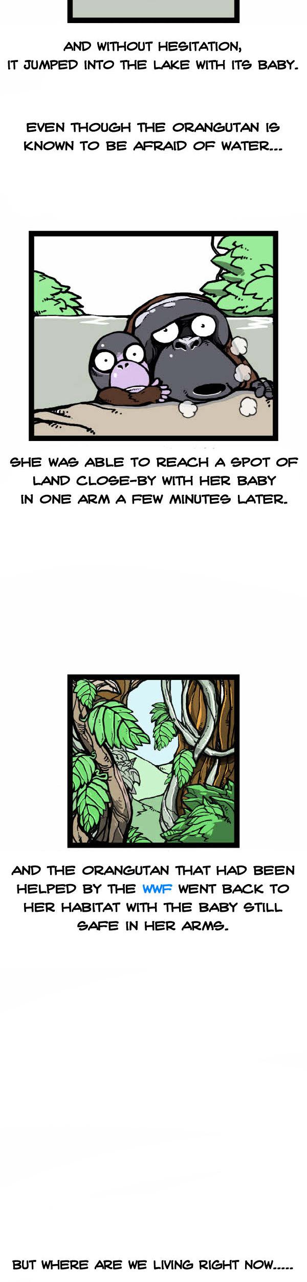 Earth, Human, and Animal Chapter 31 page 19 - Chapter 31 : the Orangutan's Miracle