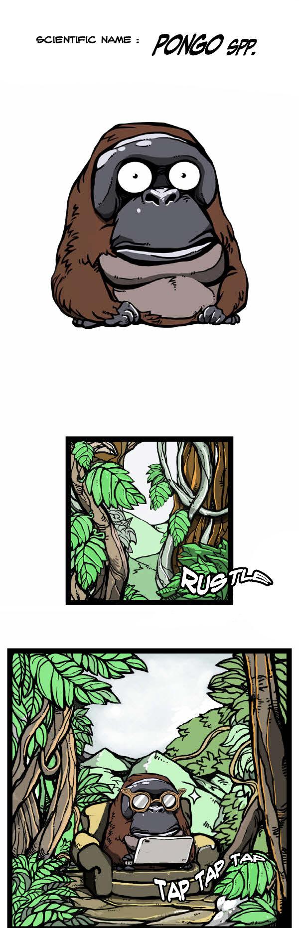 Earth, Human, and Animal Chapter 31 page 4 - Chapter 31 : the Orangutan's Miracle