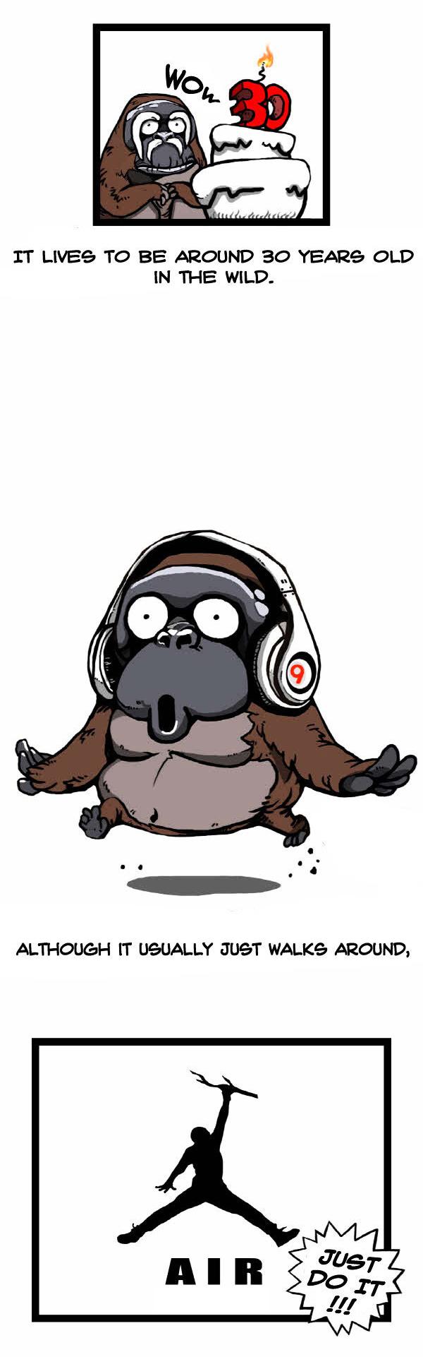 Earth, Human, and Animal Chapter 31 page 7 - Chapter 31 : the Orangutan's Miracle