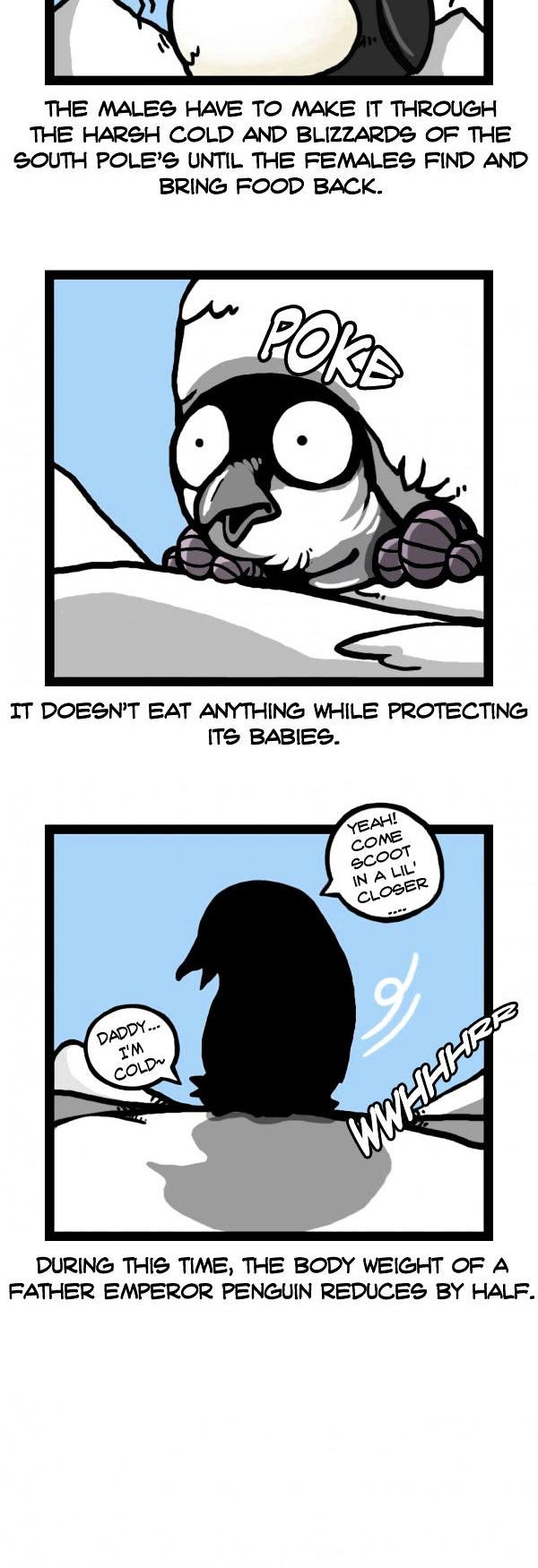 Earth, Human, and Animal Chapter 34 page 2 - Chapter 34 : EHA minitoon #3