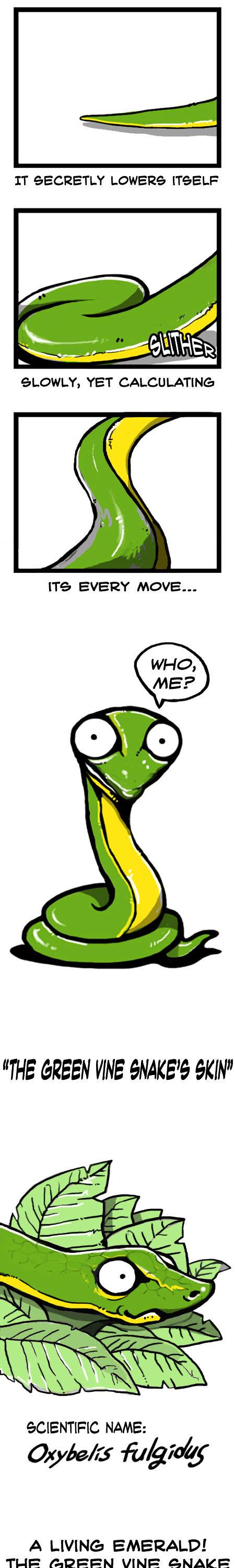 Earth, Human, and Animal Chapter 4 page 1 - Chapter 4 : the Green Vine Snake's Skin