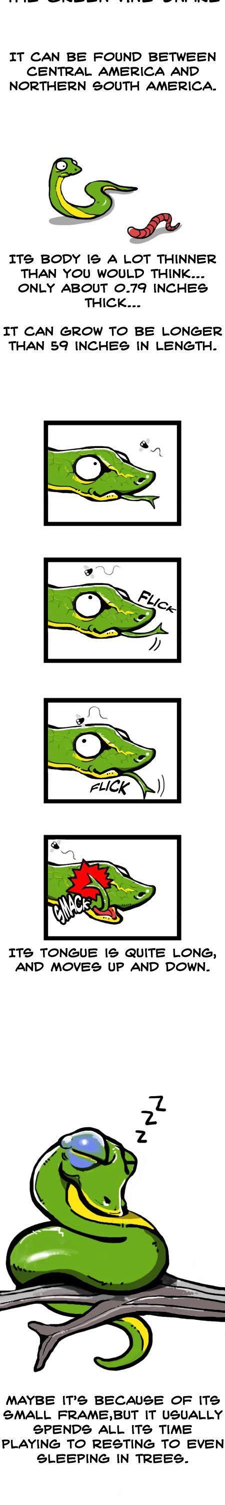 Earth, Human, and Animal Chapter 4 page 2 - Chapter 4 : the Green Vine Snake's Skin
