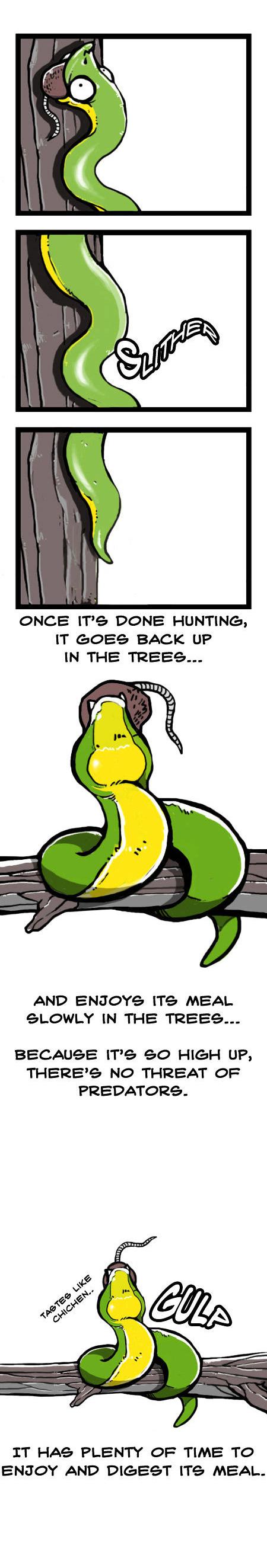 Earth, Human, and Animal Chapter 4 page 4 - Chapter 4 : the Green Vine Snake's Skin
